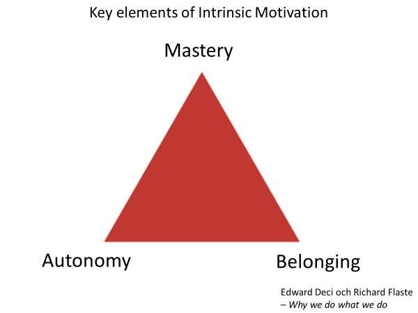 Motivation Three Key Elements for Intrinsic Motivation